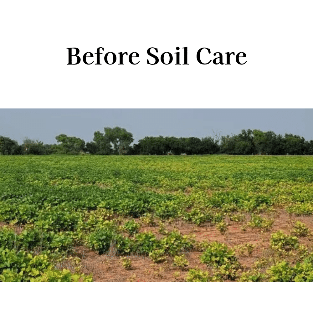 Before Soil Care