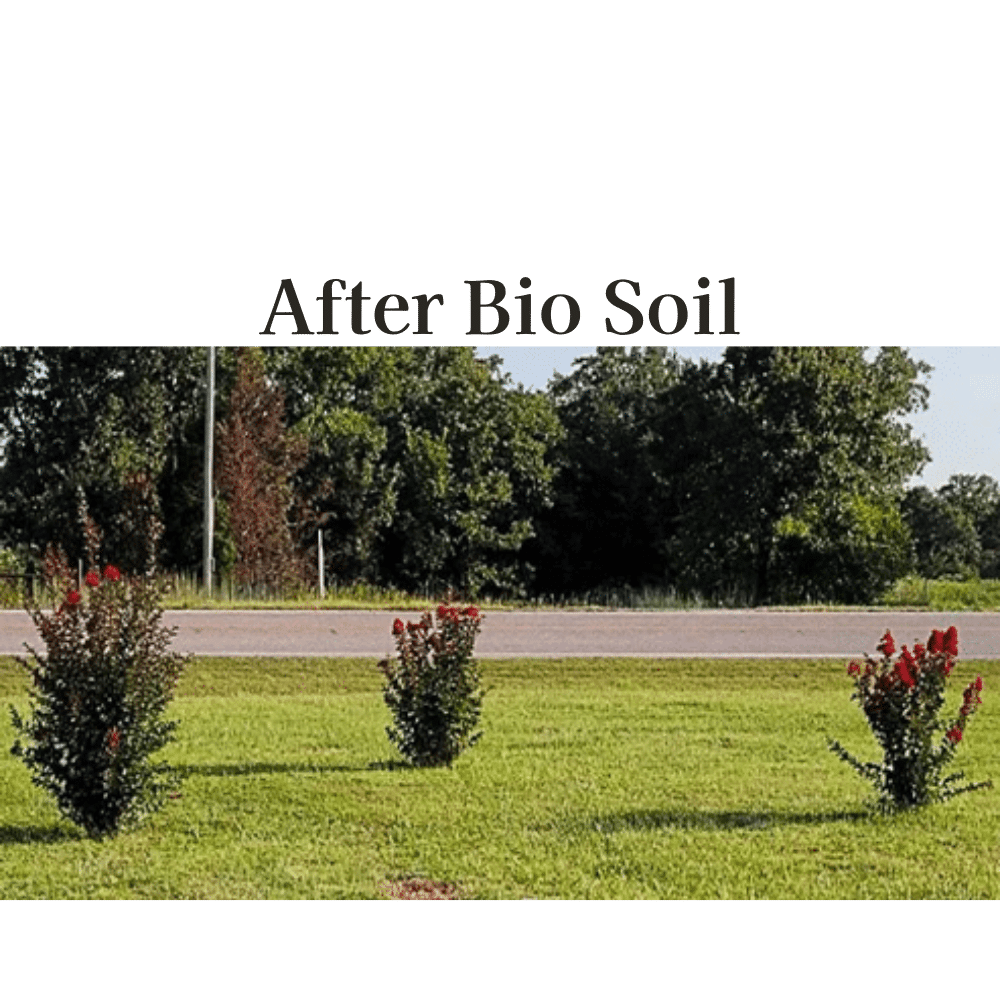 Bio Soil After