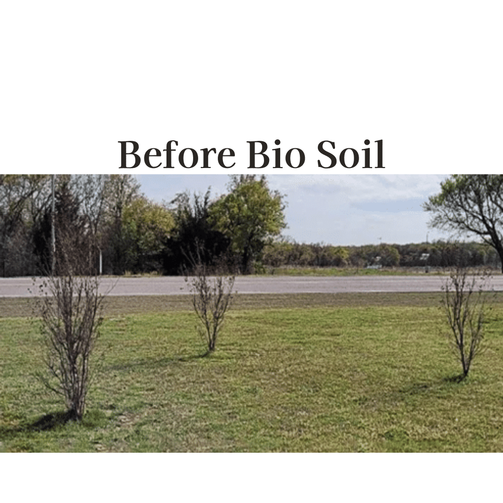 Bio Soil Before