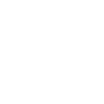 Strength And Durability icon