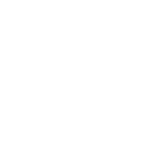 Transplanting young trees