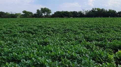 After Wind River Soilcare After Wind River Soilcare